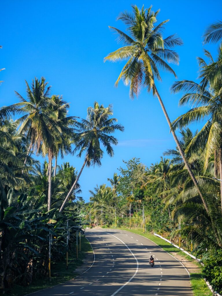 Carretera tropical República Dominicana ruta de Punta Cana a Santiago de los Caballeros