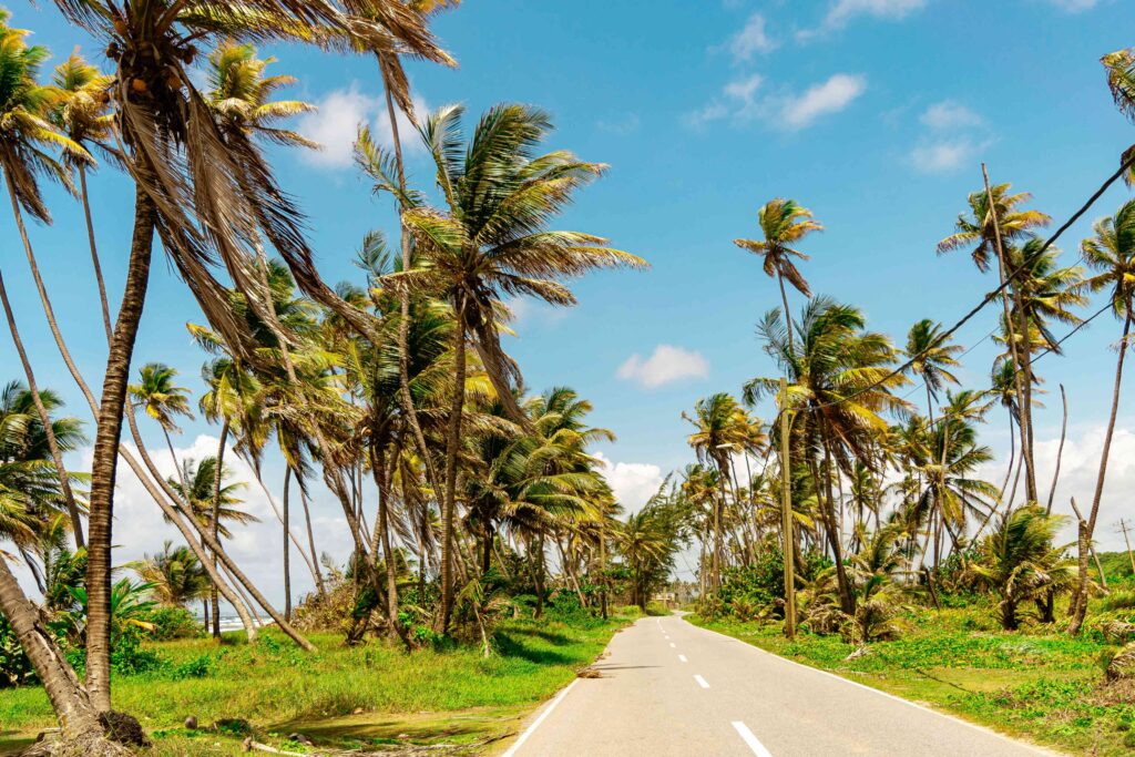 Carretera tropical República Dominicana
ruta de Santiago de los Caballeros a Punta Cana
