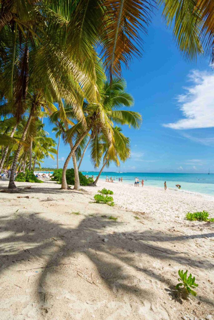 Playa de Punta Cana República Dominicana
aguas turquesas arena blanca palmeras